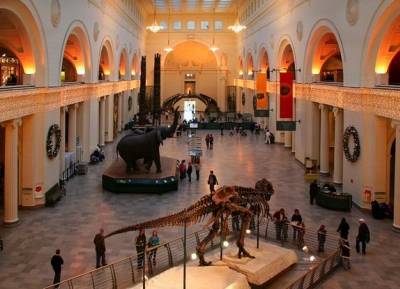  المتحف الميداني للتاريخ الطبيعي 