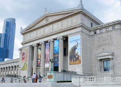 المتحف الميداني للتاريخ الطبيعي