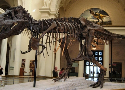  المتحف الأمريكي للتاريخ الطبيعي 