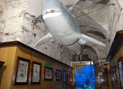  متحف قايتباي البحري 
