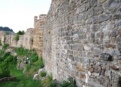  قلعة تساريفيتس 
