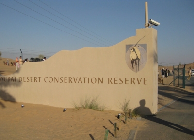 محمية صحراء دبي