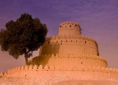 قلعة الجاهلي 