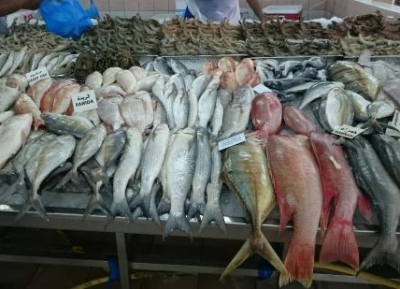  سوق المينا للأسماك 