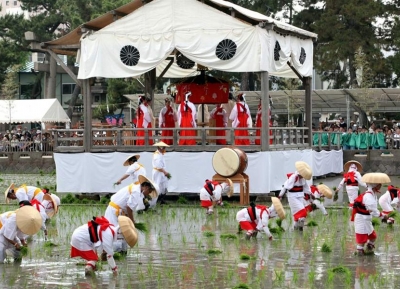  مهرجان زراعة الأرز Otaue 