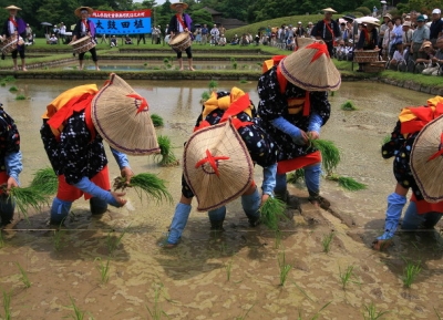 مهرجان زراعة الأرز Otaue