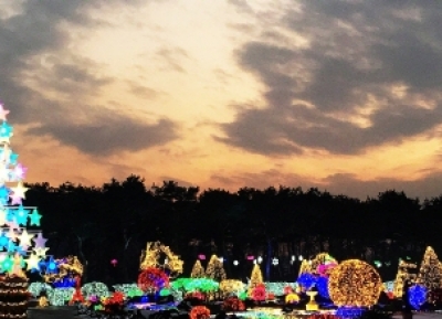 مهرجان إضاءة حديقة بيوكتشوجي النباتية 