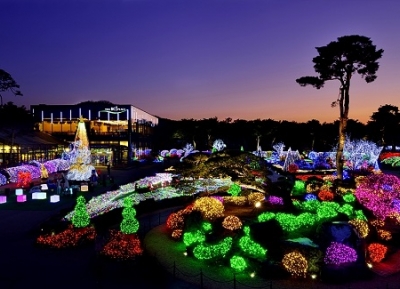  مهرجان إضاءة حديقة بيوكتشوجي النباتية 