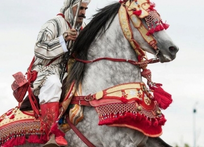  مهرجان الحصان في تيسا 