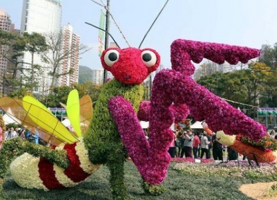  معرض هونغ كونغ للزهور 