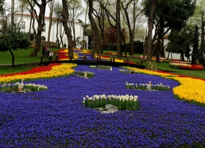  مهرجان أزهار التيوليب 