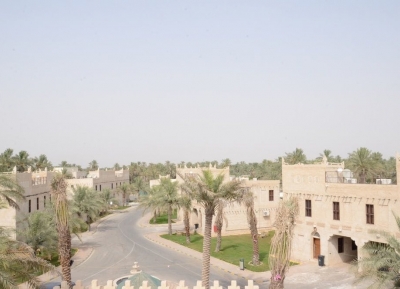  قرية دروزة النخيل 