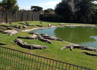 قم بزيارة Croc City Crocodile & Reptile Park