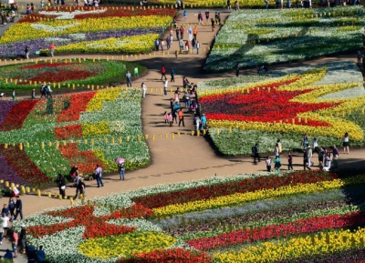  مهرجان الزهور - Floriade 