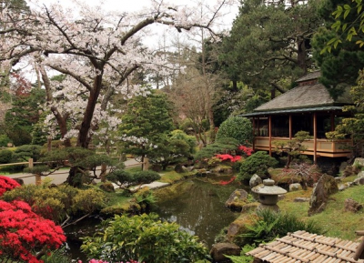 زيارة أقدم حديقة شاي يابانية في الولايات المتحدة