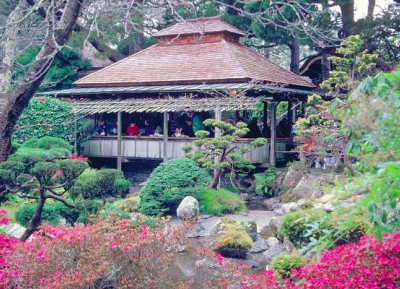  زيارة أقدم حديقة شاي يابانية في الولايات المتحدة 
