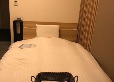  فندق توياما شيتيتسو 
