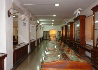  المتحف الوطني أحمد زبانة 